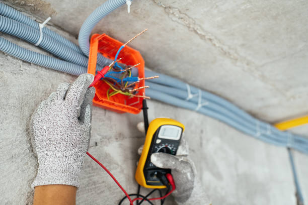 Best Electrical Upgrades for Homes  in Buffalo, MN